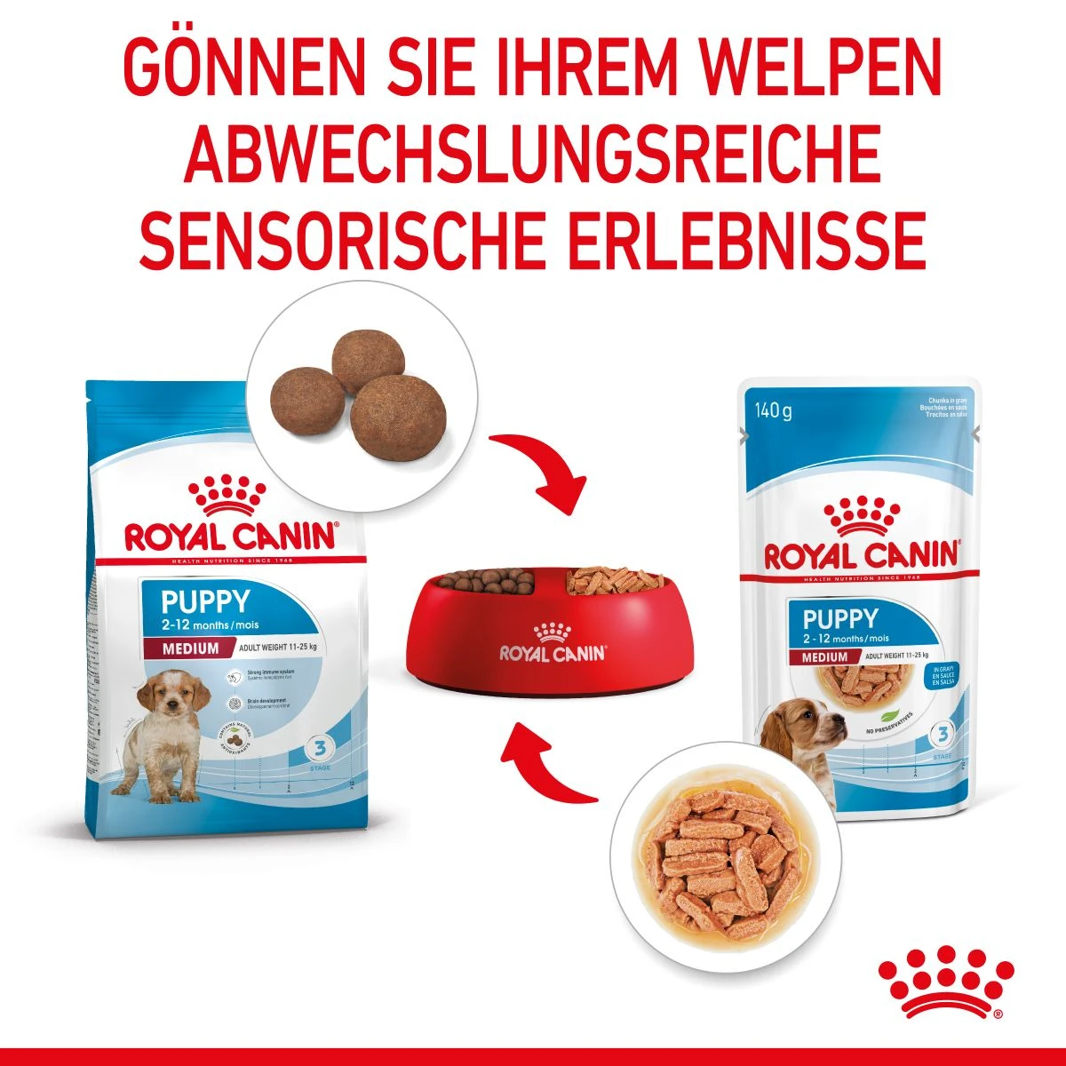 Royal Canin Medium Puppy Frischebeutel 10 X 140 G Frischebeutel Für Hunde 4 Royal Canin Medium Puppy Frischebeutel 10 X 140 G Frischebeutel Für Hunde – Bild 4