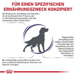Royal Canin Dental Medium & Large Dogs Trockenfutter Für Hunde 6 Kg Trockenfutter Für Hunde -Angebote Specific Store wI3pWpNIBRXE 3182550925310 328 3