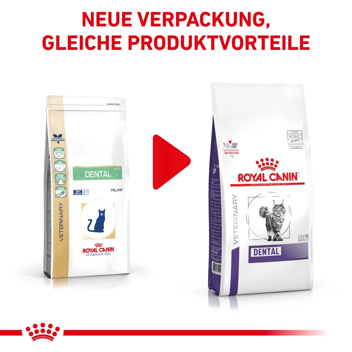 Royal Canin Dental Trockenfutter Für Katzen 1,5 Kg Trockenfutter Für Katzen 7 Royal Canin Dental Trockenfutter Für Katzen 1,5 Kg Trockenfutter Für Katzen – Bild 7