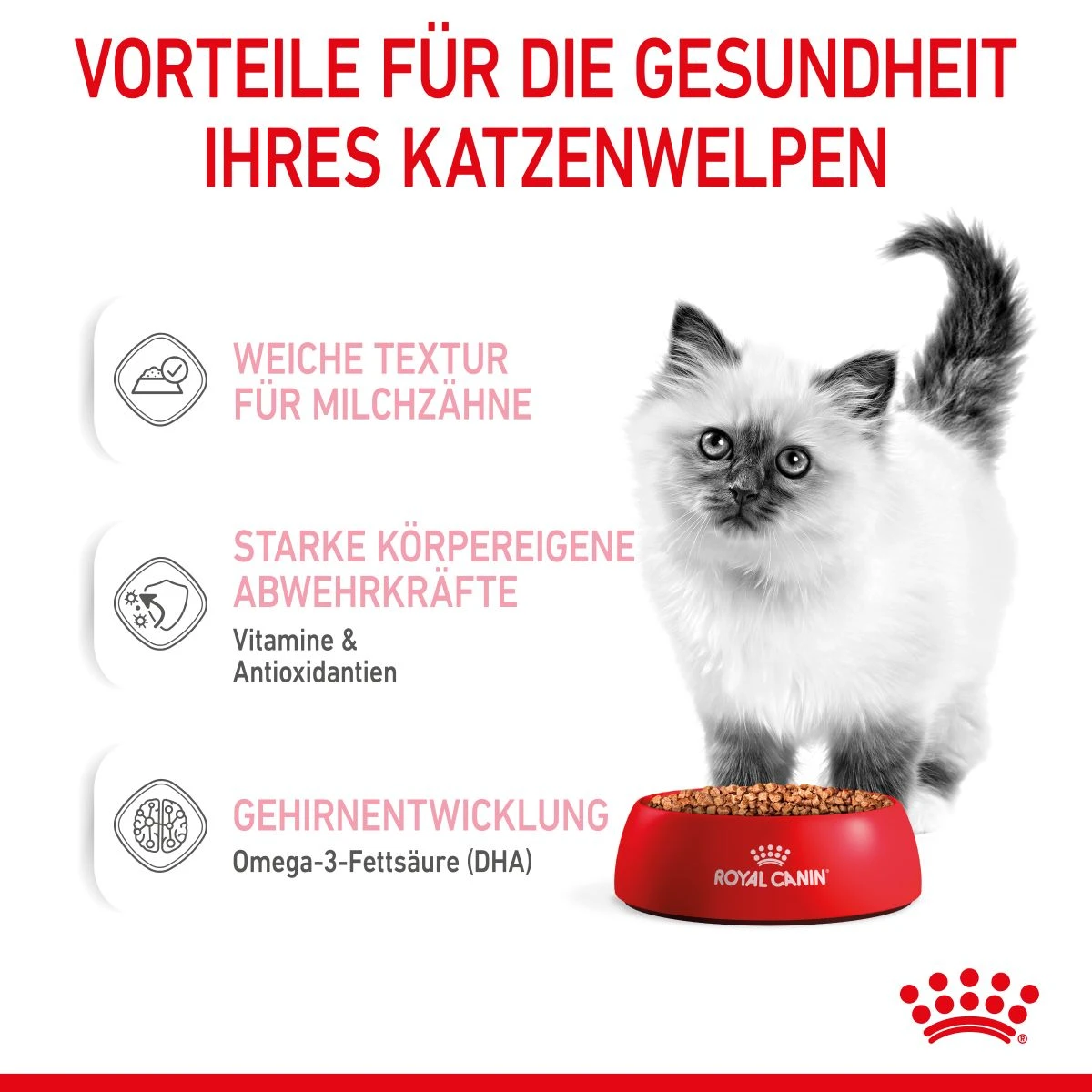 Royal Canin Kitten Second Age Für Kätzchen Bis Zum 12. Monat 12 X 85 G In Soße Frischebeutel 5 Royal Canin Kitten Second Age Für Kätzchen Bis Zum 12. Monat 12 X 85 G In Soße Frischebeutel – Bild 5