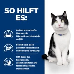Hills I/d Mit ActivBiome+ Lachs Frischebeutel Für Katzen 12 X 85 G ActivBiome+ Lachs Frischebeutel -Angebote Specific Store xycDInUnLKO4 52742040257 4