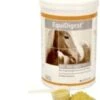 Alfavet EquiDigest Für Pferde 1000ml EquiDigest Liquid