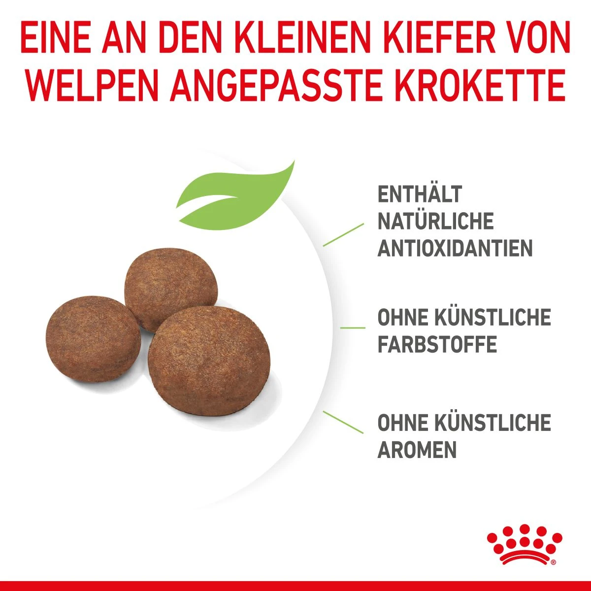 Royal Canin Medium Puppy Für Welpen Mittelgroßer Hunderassen 4 Kg Trockenfutter 6 Royal Canin Medium Puppy Für Welpen Mittelgroßer Hunderassen 4 Kg Trockenfutter – Bild 6