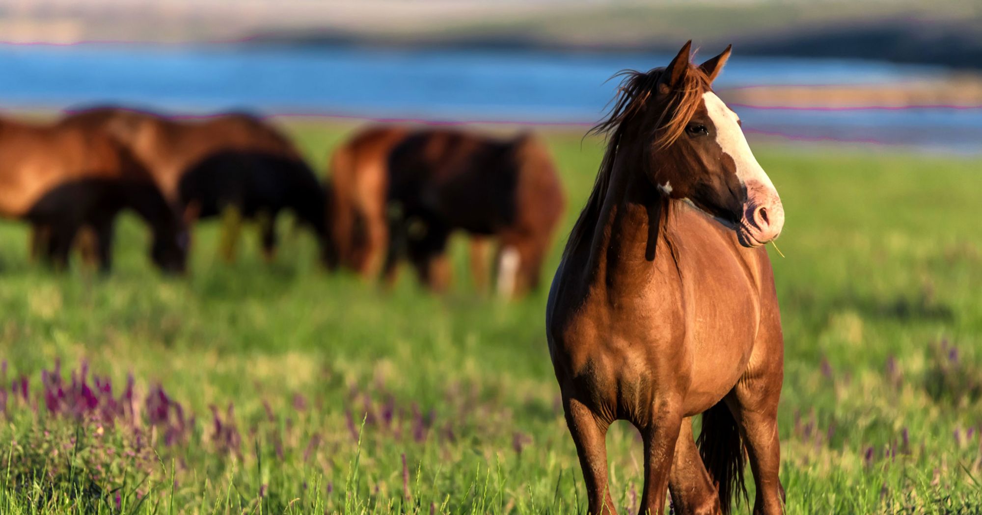 Titelseite -Angebote Specific Store 240823 herd 1